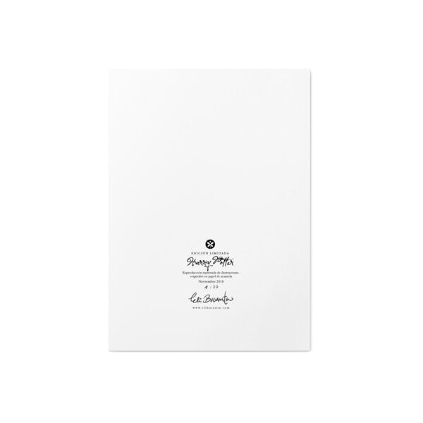 Lámina Harry Potter (Edición Limitada)