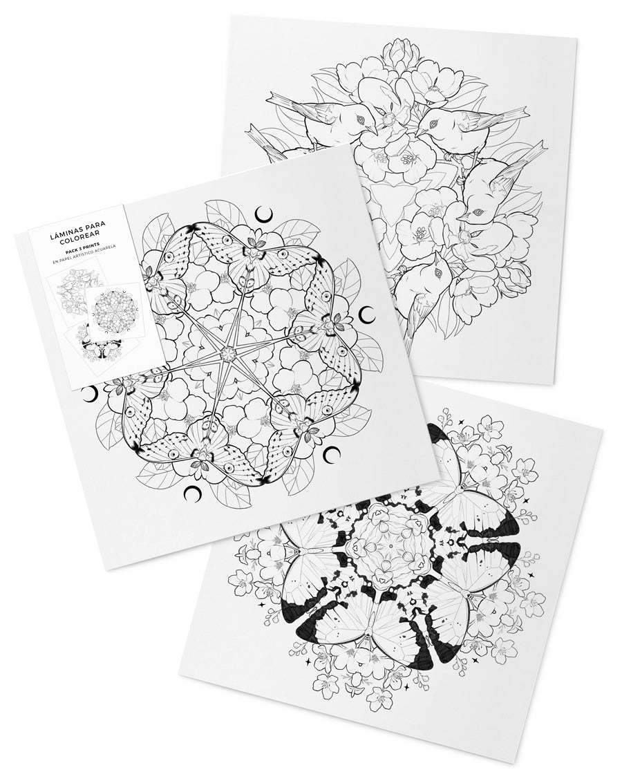 Pack 3 Láminas coloreables grandes