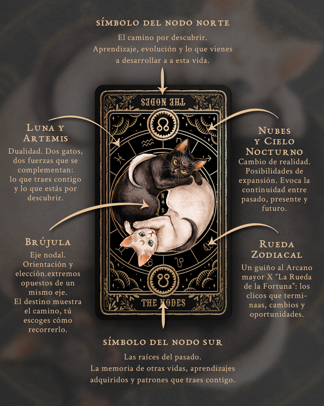Carta The Nodes