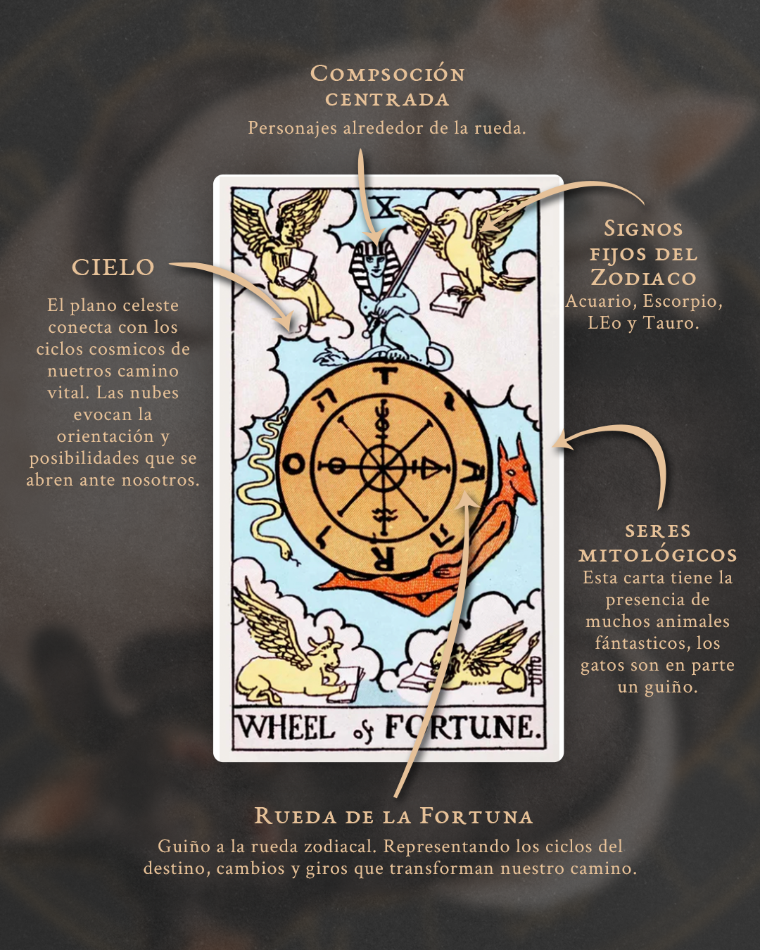 Carta The Nodes