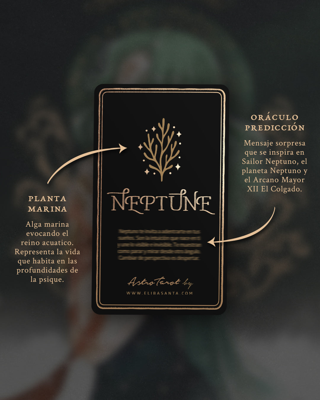 Carta Neptune