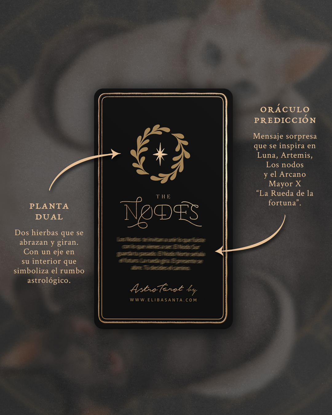 Carta The Nodes