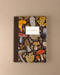 Notebooks Libretas