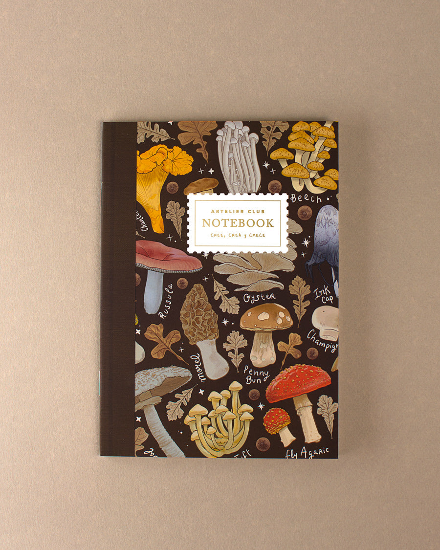 Notebooks Libretas