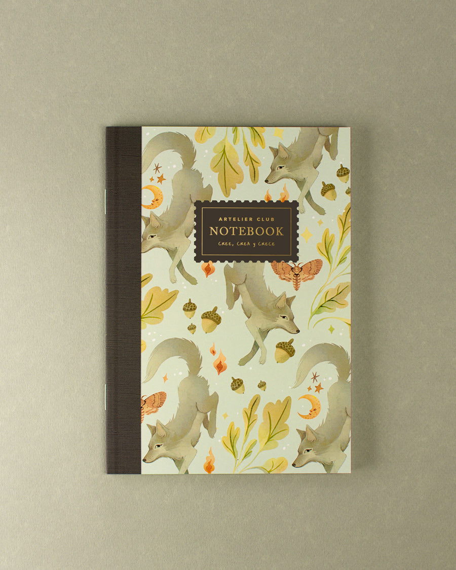 Notebooks Libretas
