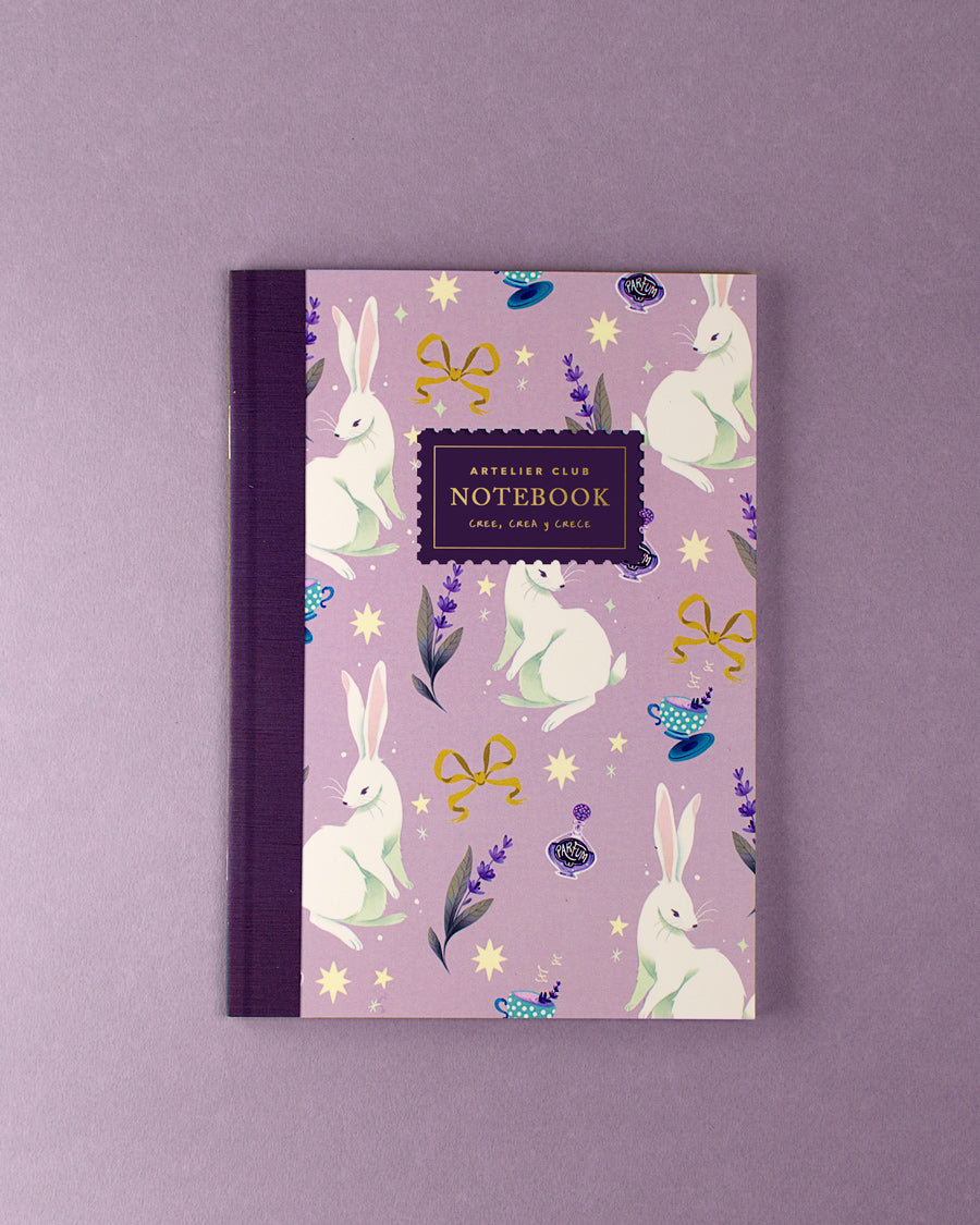 Notebooks Libretas