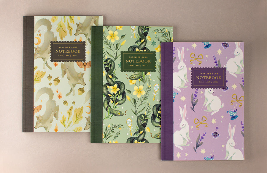 Notebooks Libretas