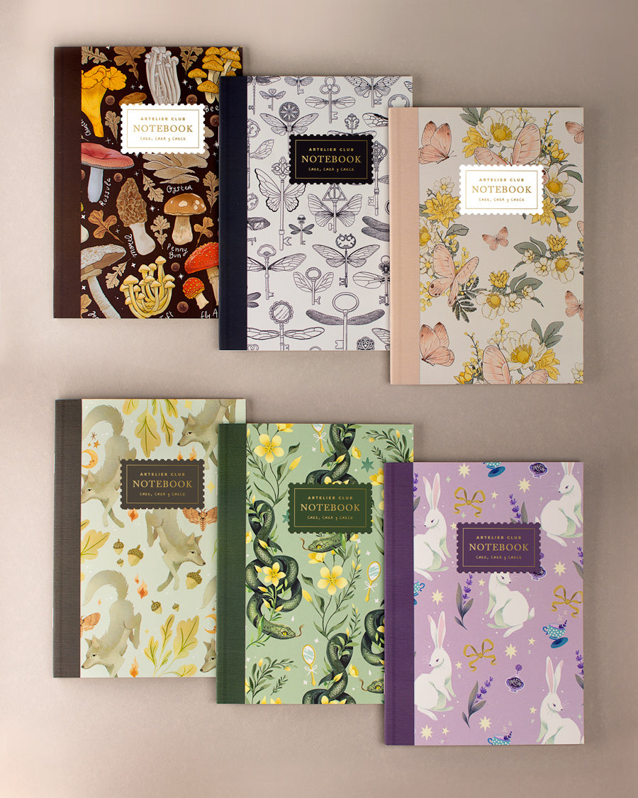 Notebooks Libretas